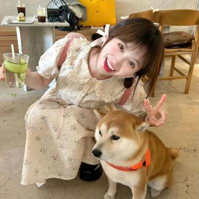 进化症候群