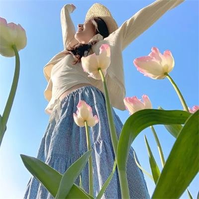 伊朗式分居